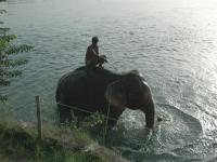 Image Slideshow